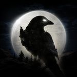 Download The Latest Version Of Night Crows Apk 1.4.8 For Android 2024. Download The Latest Version Of Night Crows Apk 1 4 8 For Android 2024